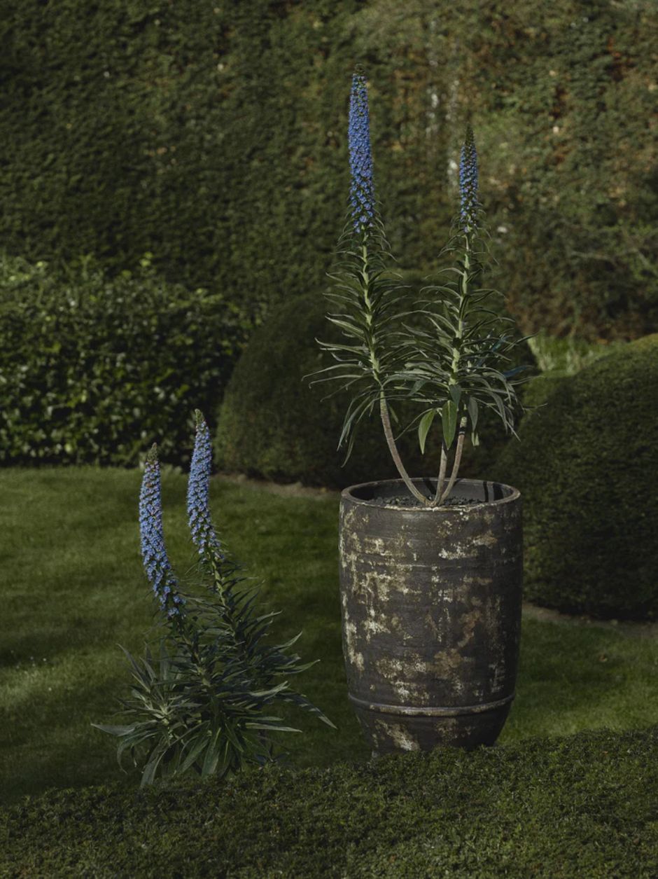 PLANTER 02 DARK BROWN DUNE