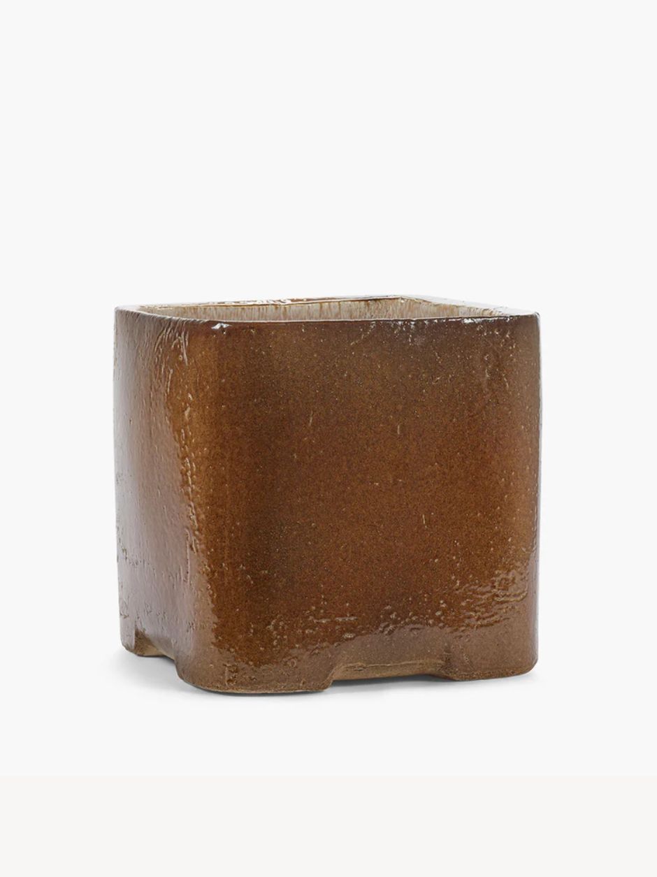 PLANTER 04 AMBER BOOK